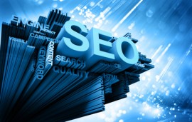 SEO and enterprise search software